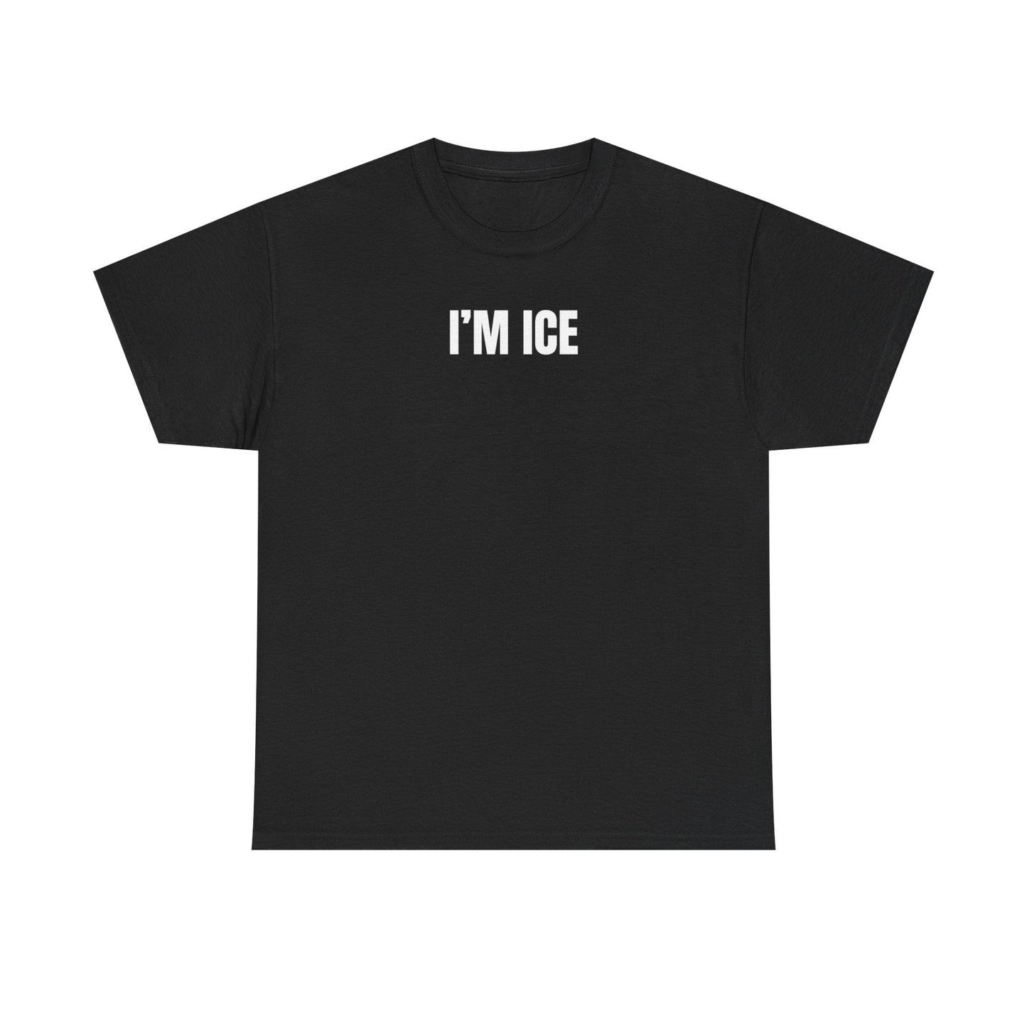 I'm Ice Funny Matching Couple Shirt – Cute & Hilarious His and Hers Graphic Tee